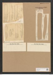Diatomeae indet. Zeichnungen Sammlung Grunow Nr. 4489 (NHMW-BOT-W0372447)